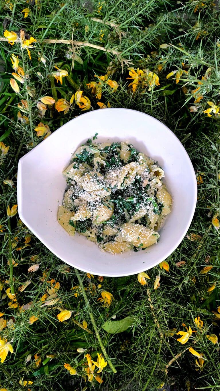 Recette de conchiglionis aux epinards ricotta