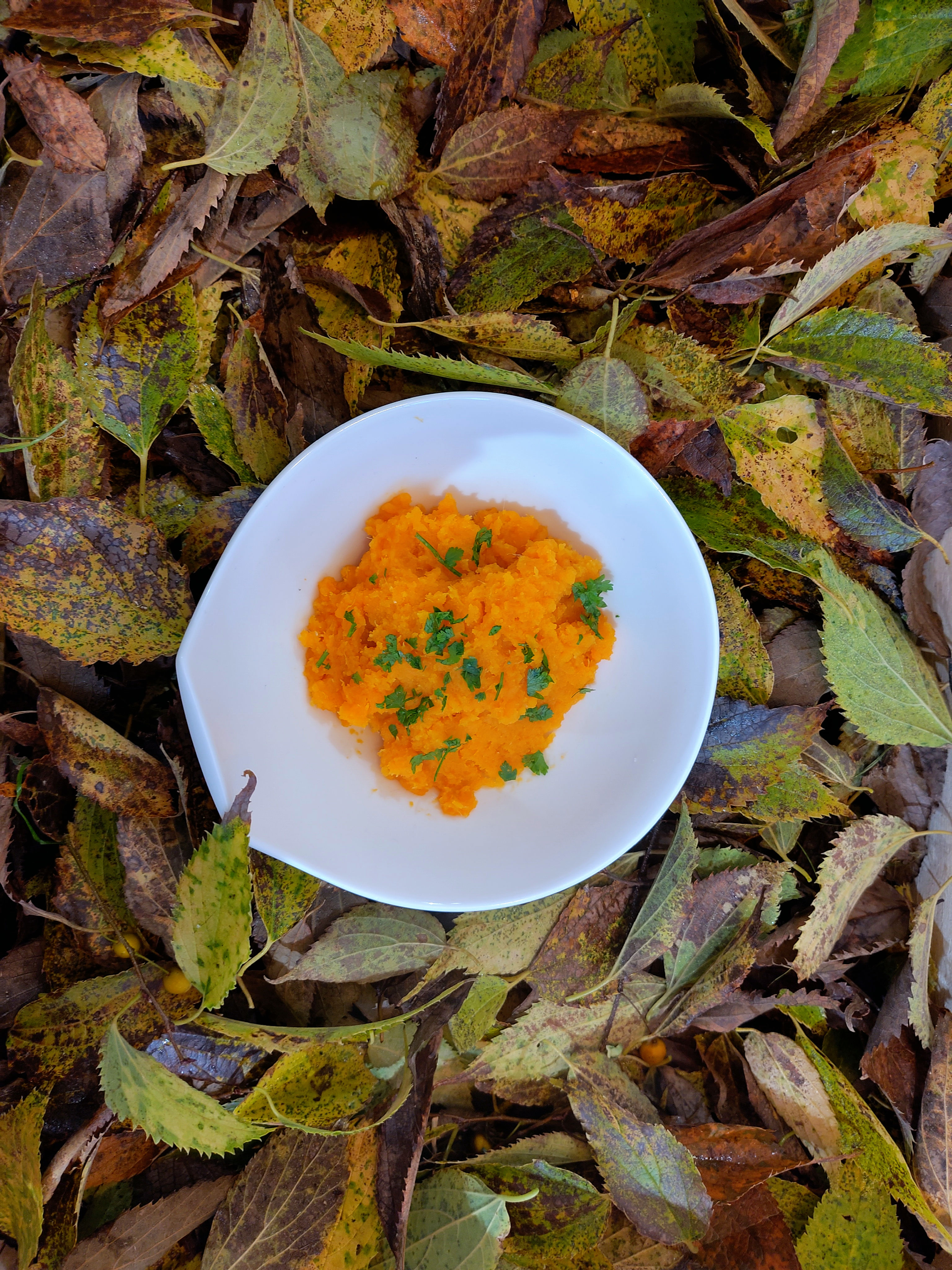 recette purée de patate douce avec persil