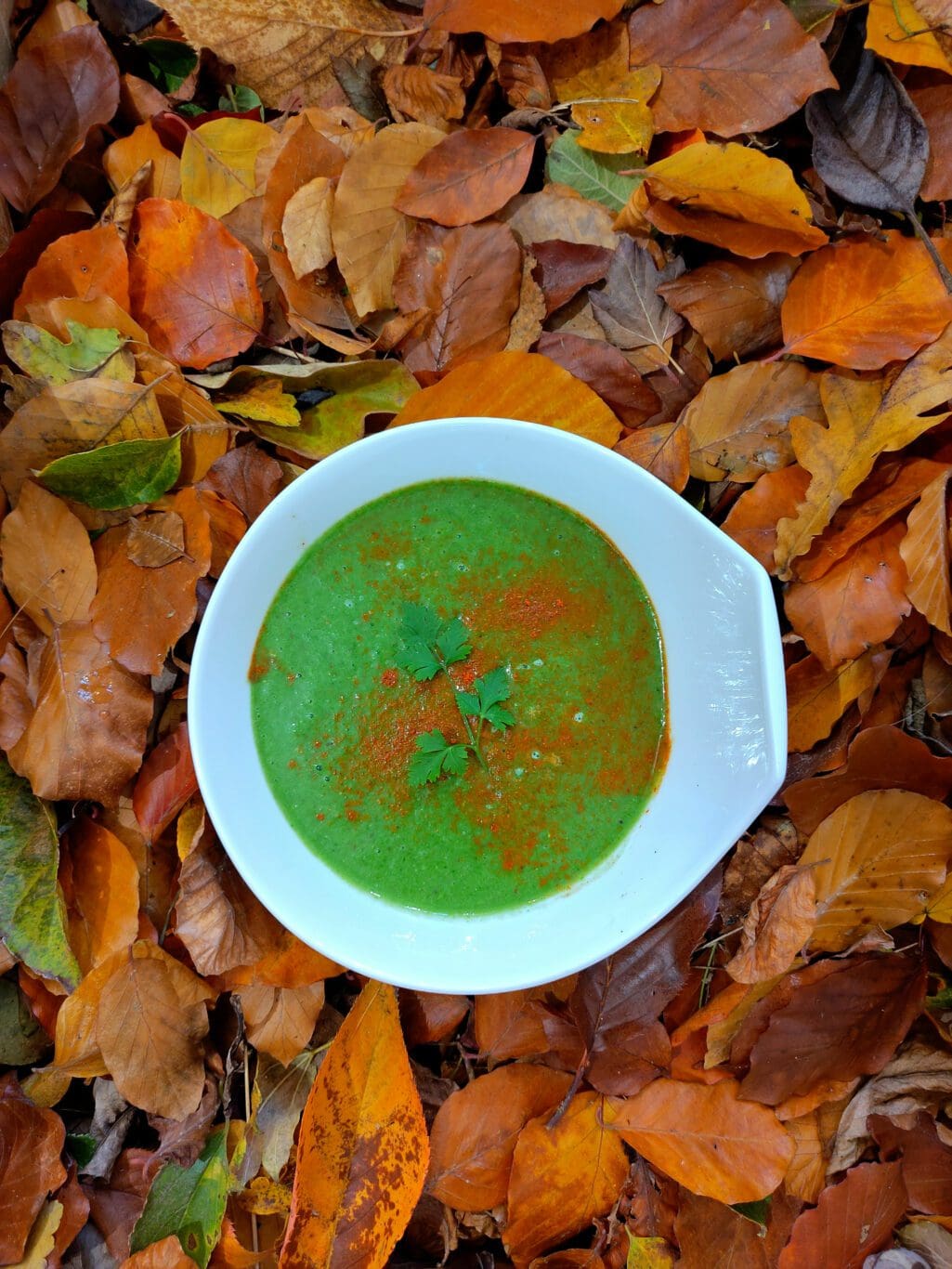 soupe d'épinards et champignons avec du paprika fumé