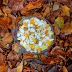recette de salade d'endives, noix, Morbier et mandarines