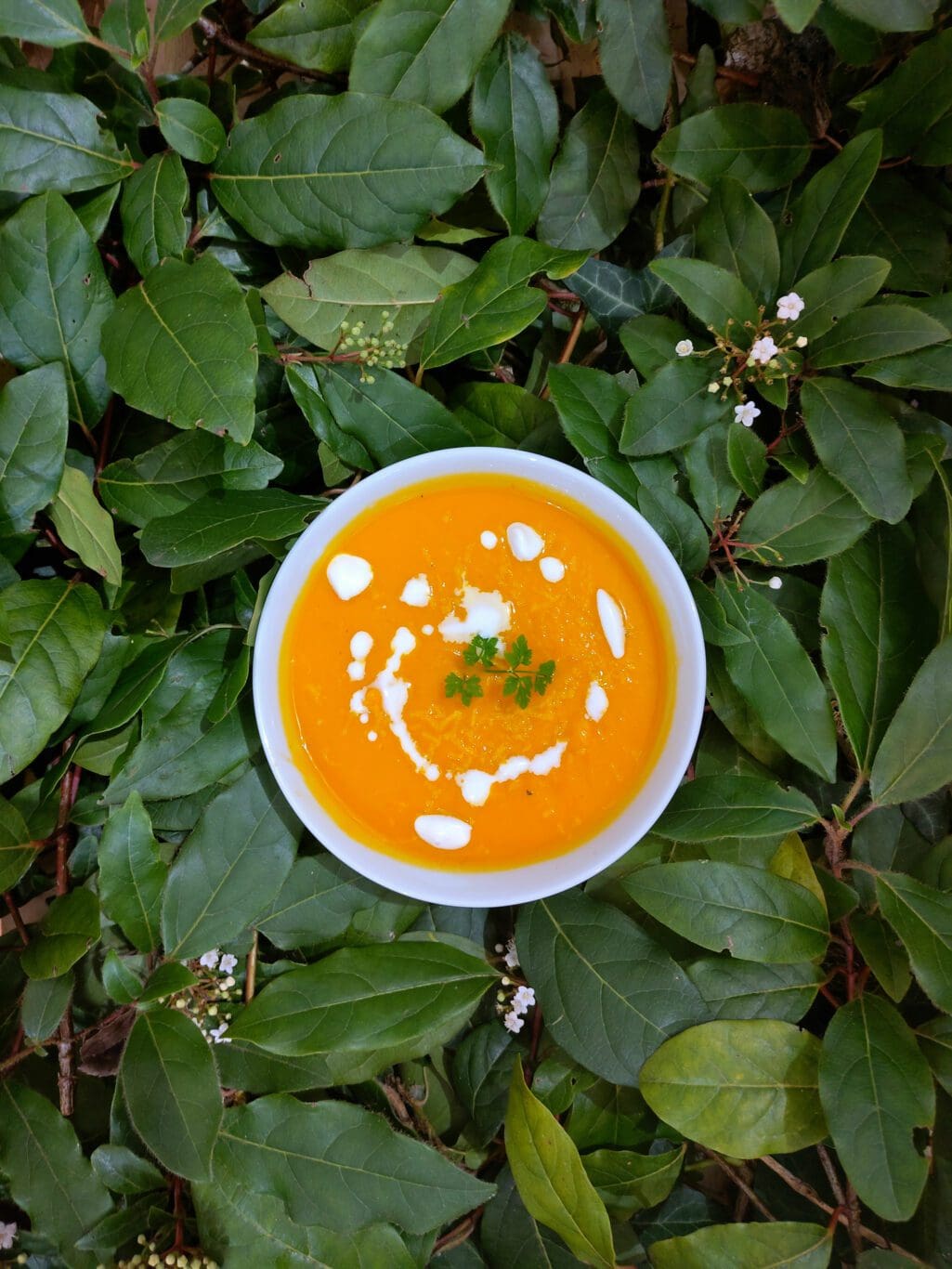 Soupe crème de coco, patate douce, carotte et gingembre