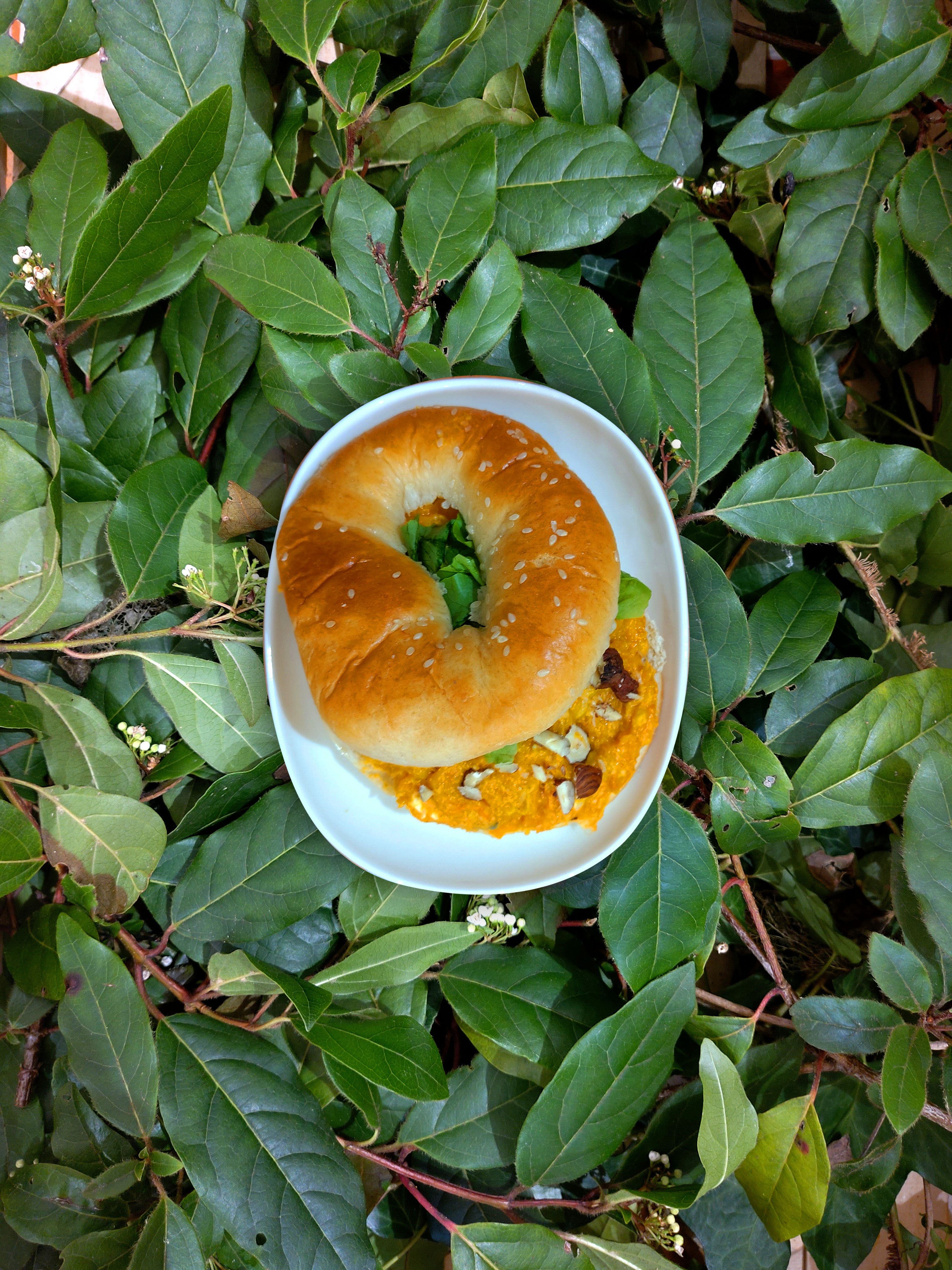 recette de bagel végétarien potiron maïs et cheddar