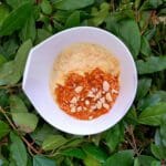 recette de butter chicken végétarien