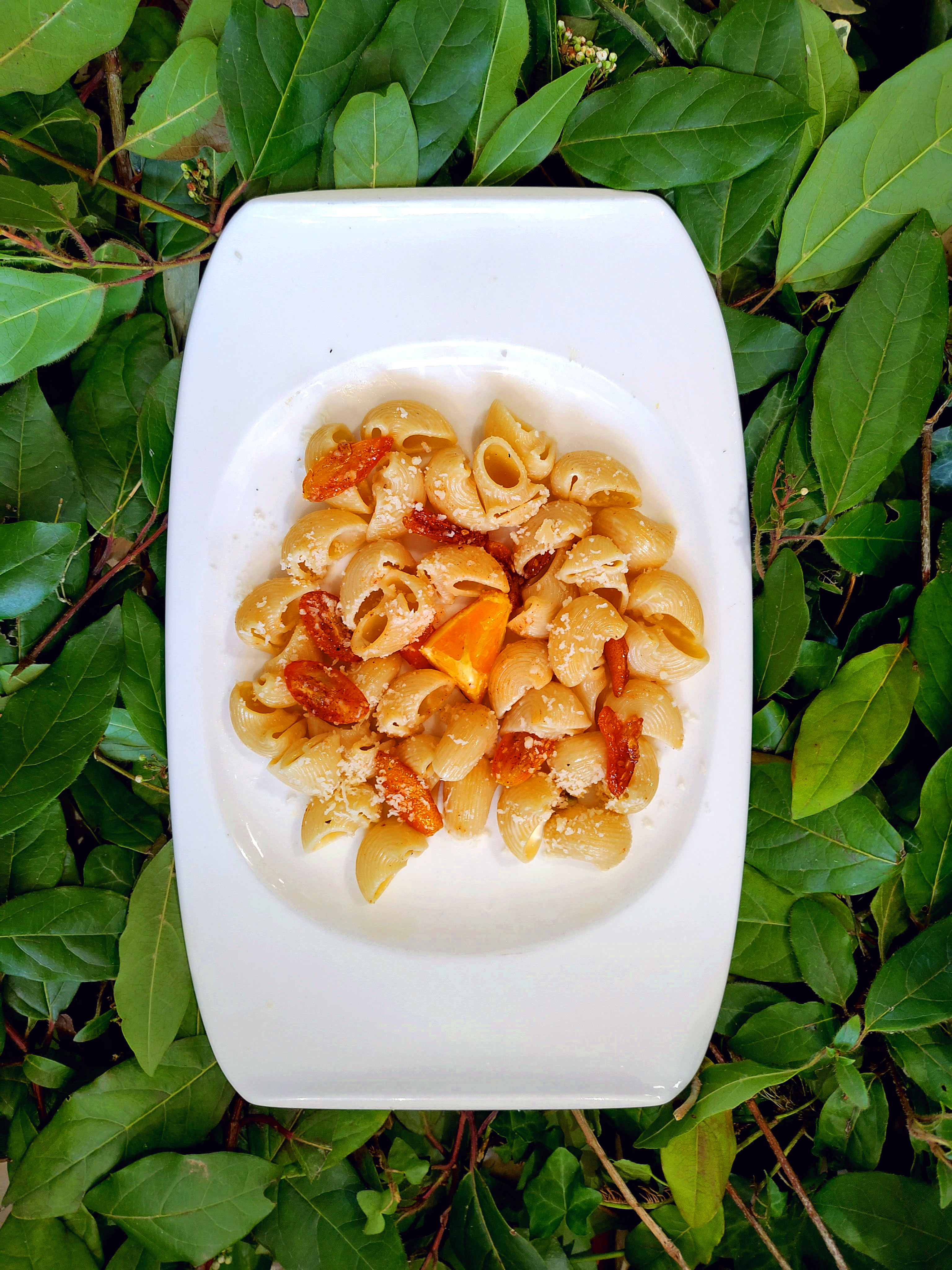 recettes de pâtes coude aux kumquats et parmesan