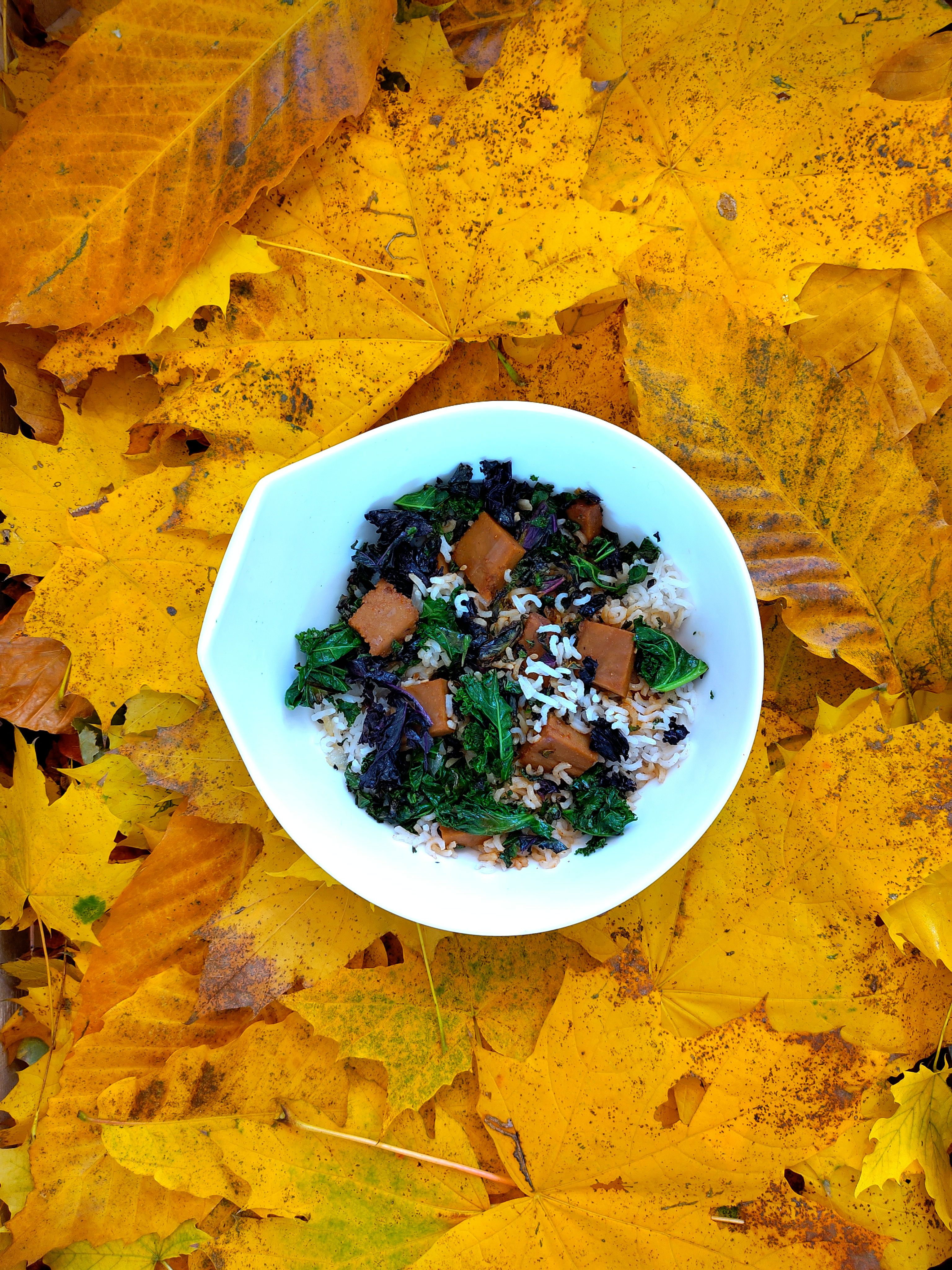 recette végétarienne de seitan avec son riz et chou kale