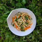 nouilles udan sauce cacahuète carottes et chou pak choi