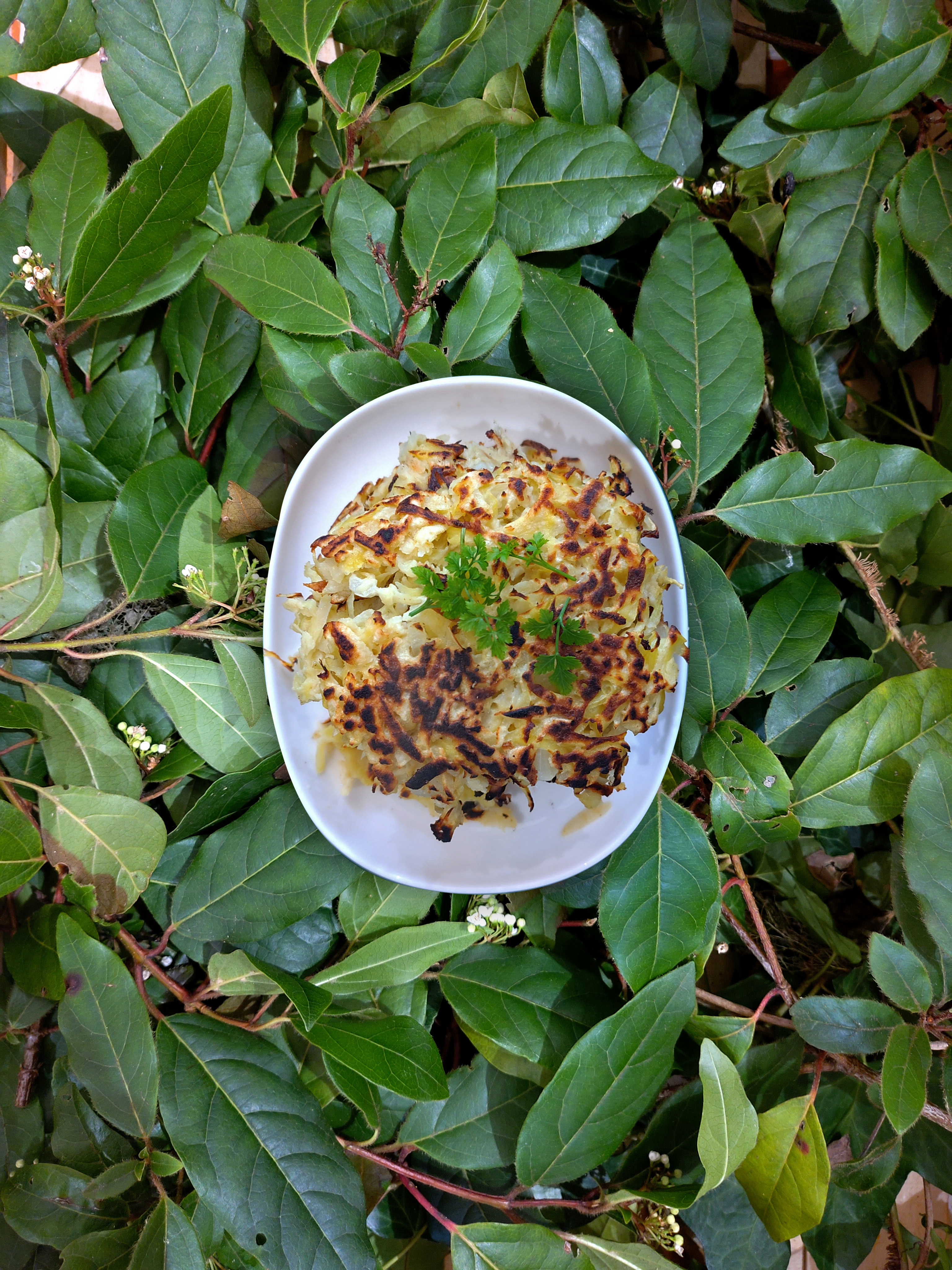 04-02-2025-galettes-de-pommes-de-terre-panais-cumin-gimgenbre