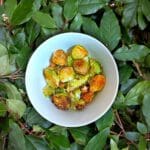 Recette choux de bruxelles rotis proteines de soja marinées