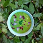 recette de soupe de fanes de radis, betterave rouge et chèvre