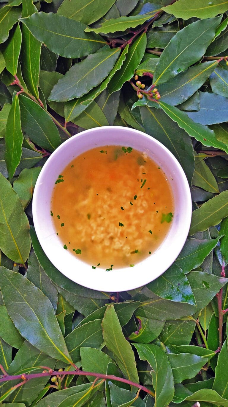 recette de pâtes alphabet, bouillon de légumes et bouquet garni