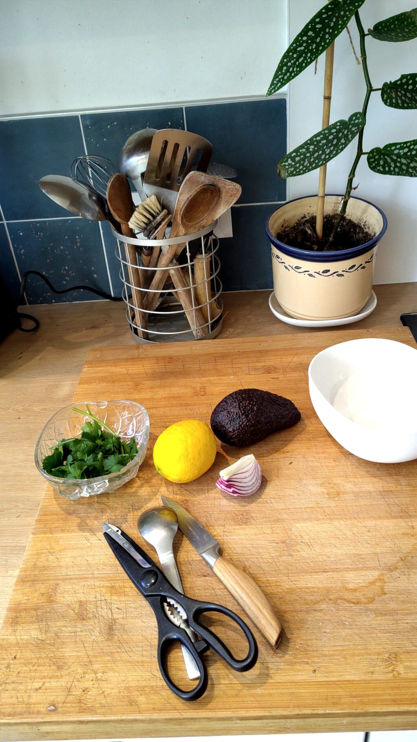 ingrédients pour préparer le guacamole : avocat, coriandre, citron et oignon rouge