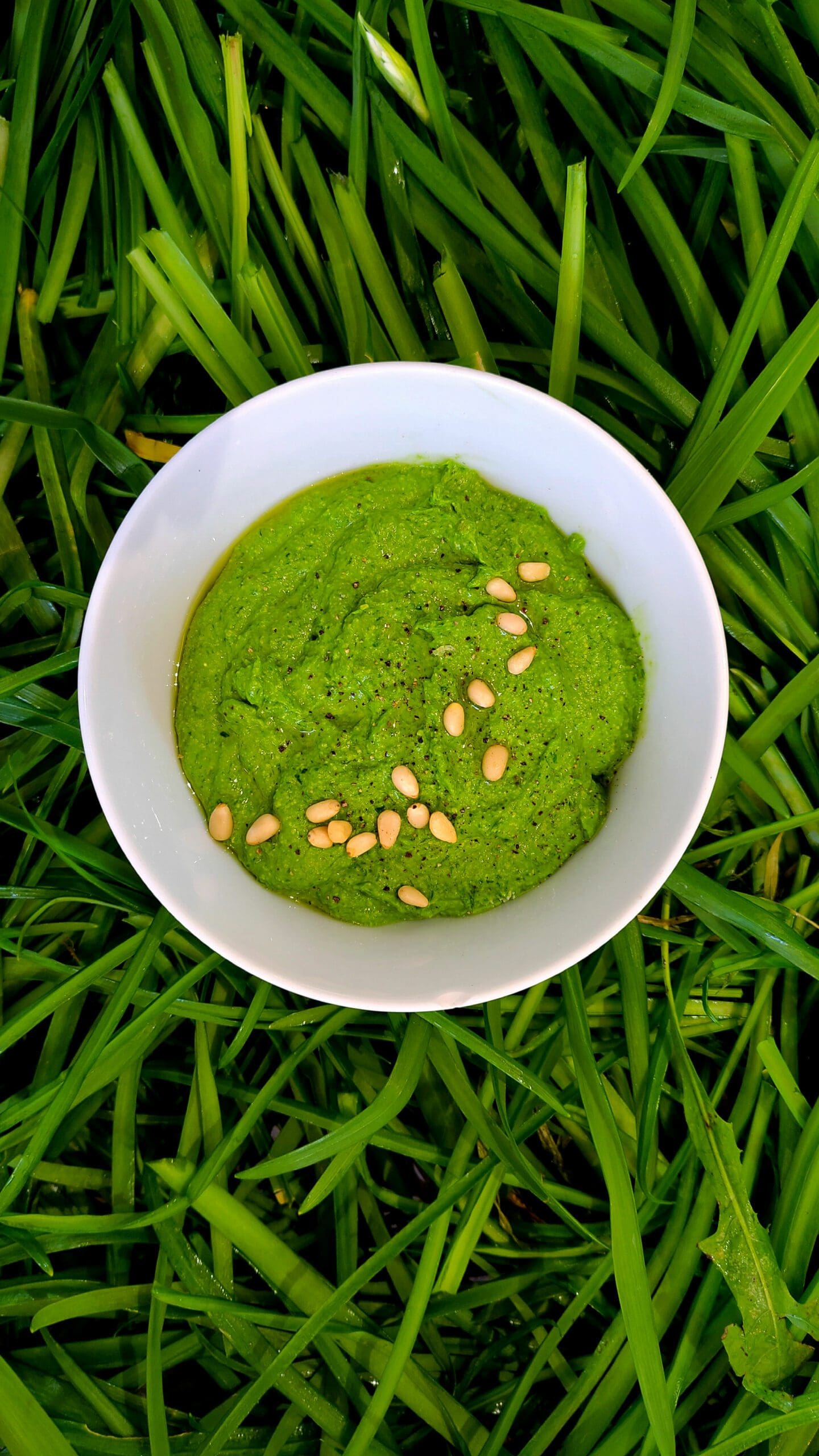 recette de pesto d'ail triquètre