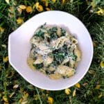 Recette de conchiglionis aux epinards ricotta
