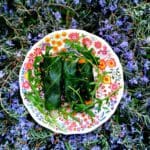 Rouleaux de printemps de chou farcis aux légumes et cheddar